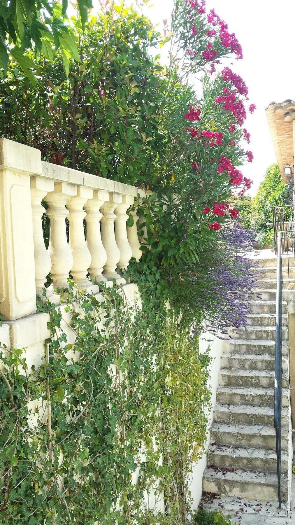La Muse Du Paradis Montauroux Εξωτερικό φωτογραφία
